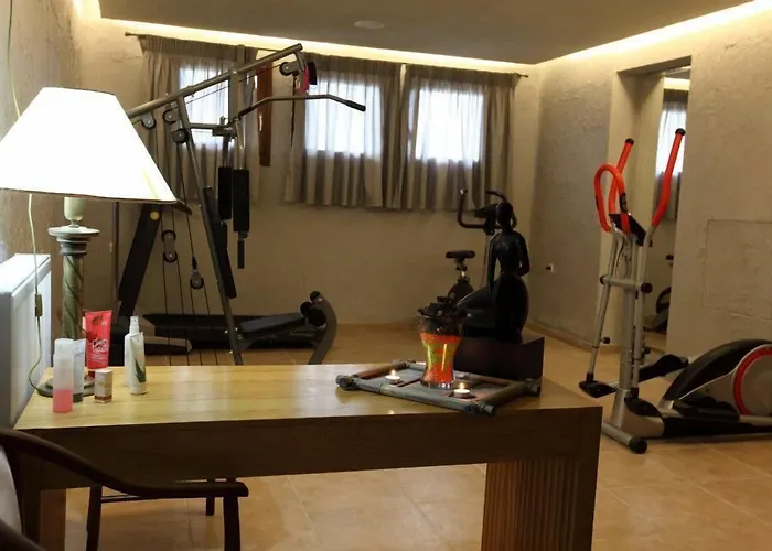 Nevros And Limni Plastira Hotel