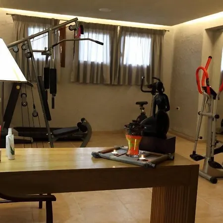 Nevros And Limni Plastira Hotel