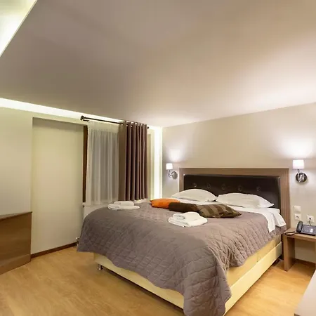 Nevros And Limni Plastira Hotel