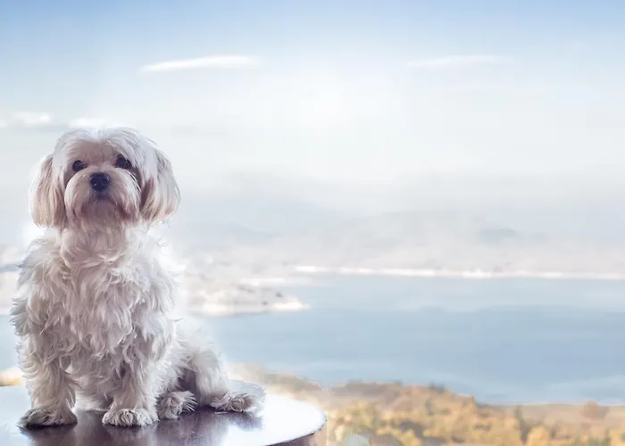 Nevros And Limni Plastira